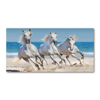 Foto obraz szkło akryl Białe konie plaża