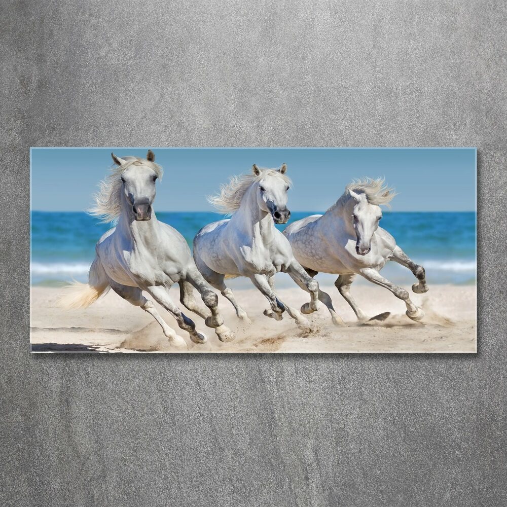 Foto obraz szkło akryl Białe konie plaża