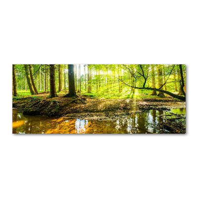 Foto obraz szkło akryl Sadzawka w lesie