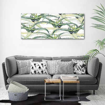 Obraz zdjęcie nowoczesny akrylowy Aloes