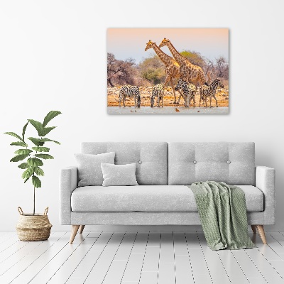 Obraz zdjęcie szkło akryl Żyrafy i zebry