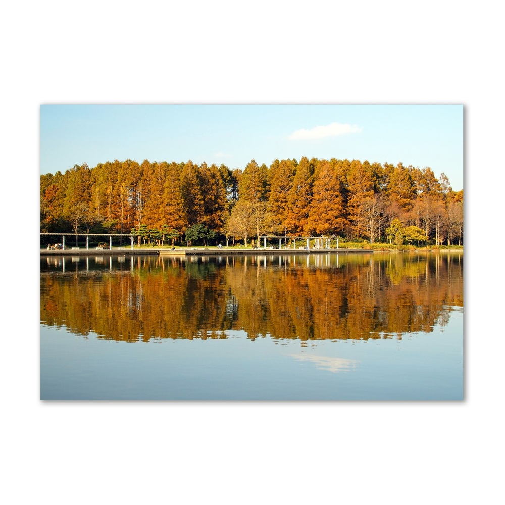 Foto obraz szkło akryl Las nad jeziorem