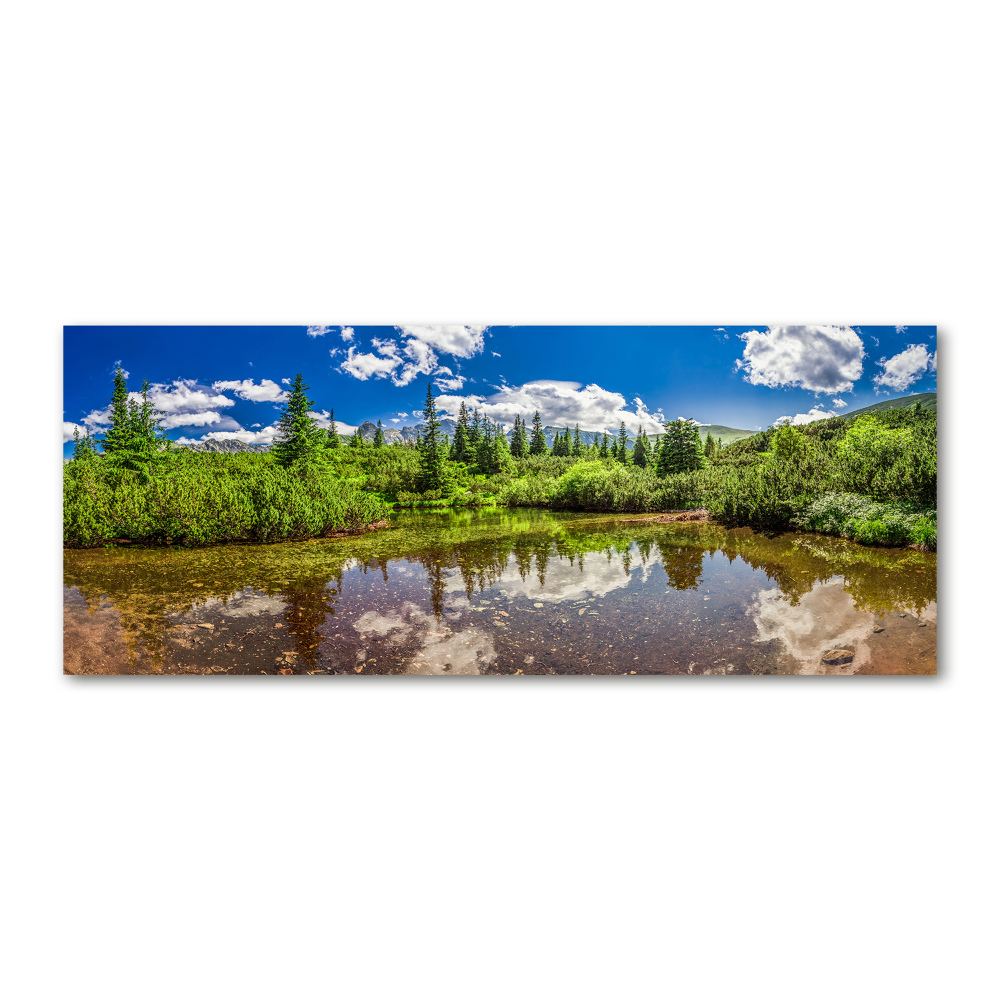 Foto obraz szkło akryl Jezioro w lesie