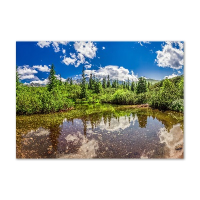 Foto obraz szkło akryl Jezioro w lesie