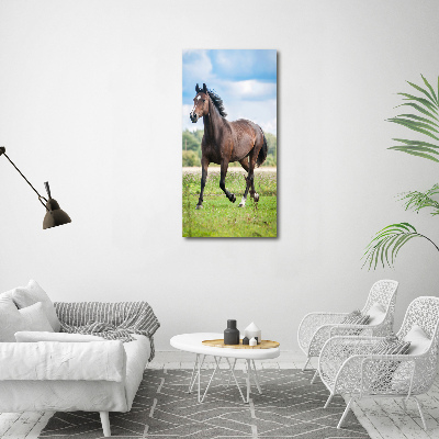 Foto obraz szkło akryl pionowy Koń na polu