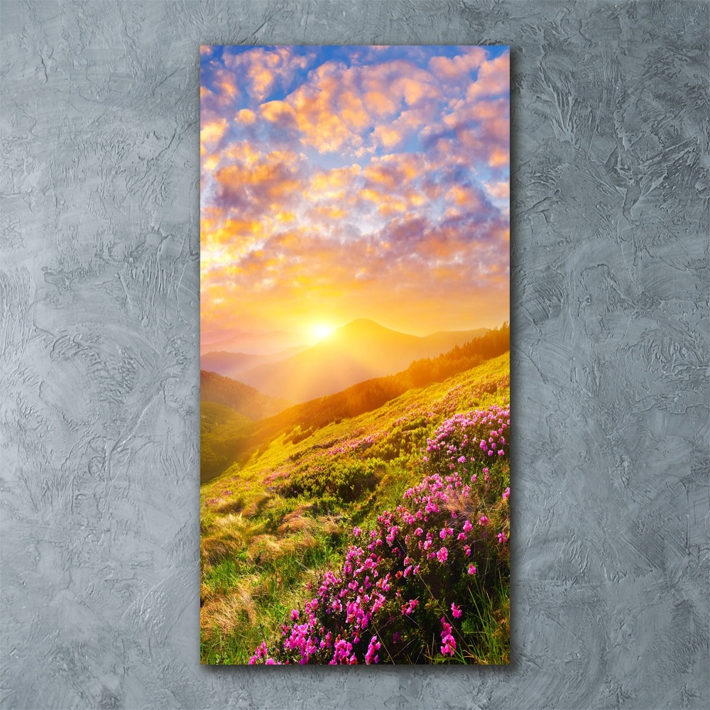 Obraz zdjęcie szkło akryl pionowy Zachód słońca góry