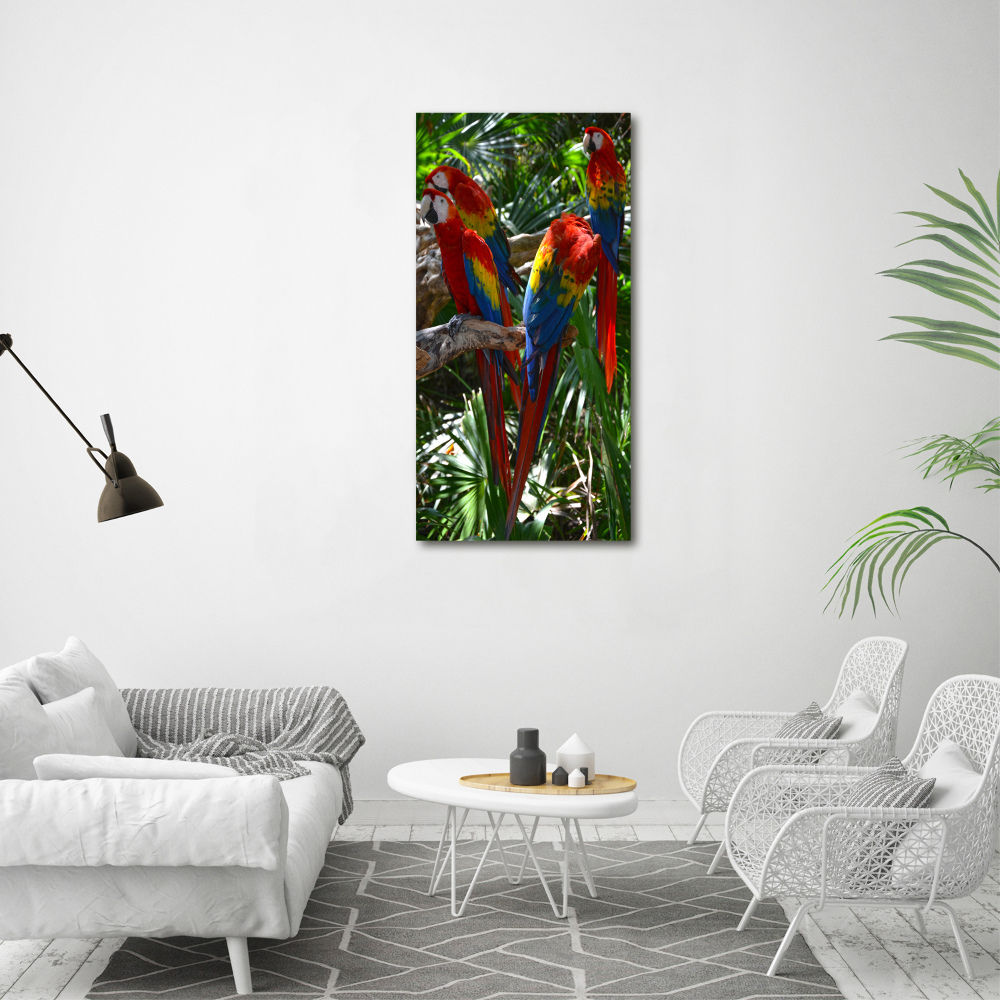 Foto obraz na ścianę akryl pionowy Papugi Ary