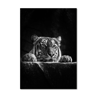 Foto obraz szkło akryl pionowy Tygrys