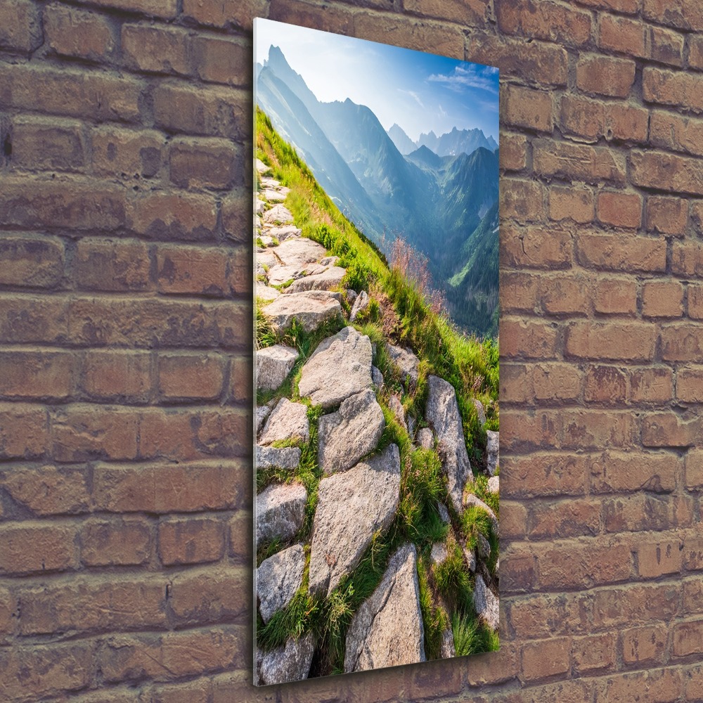 Obraz zdjęcie akryl pionowy Górski szlak