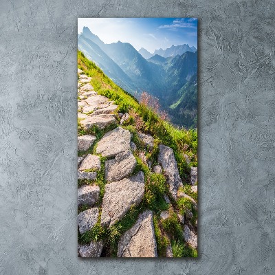 Obraz zdjęcie akryl pionowy Górski szlak