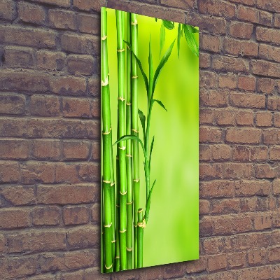 Obraz zdjęcie szkło akryl pionowy Bambus