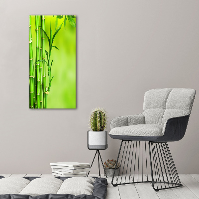Obraz zdjęcie szkło akryl pionowy Bambus