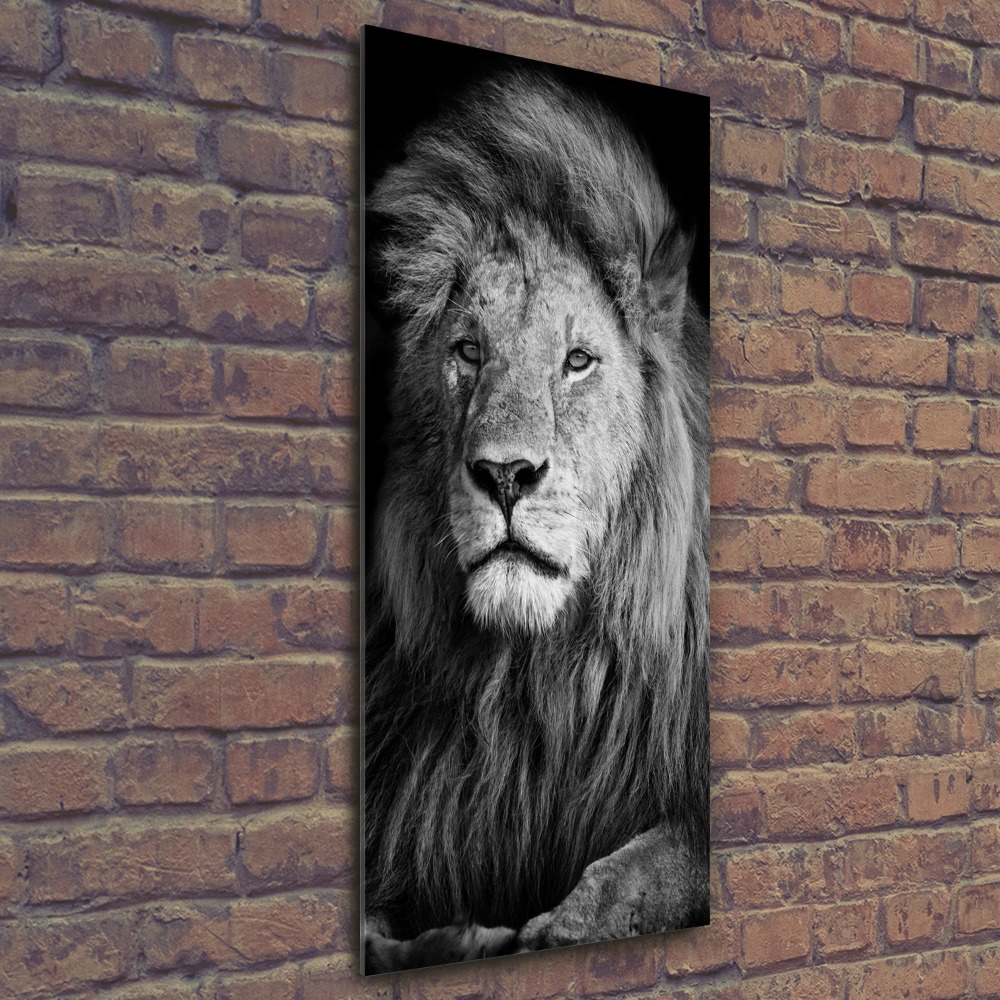 Foto obraz akryl pionowy Portret lwa