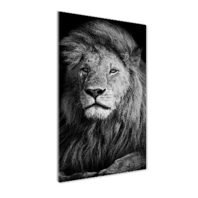 Foto obraz akryl pionowy Portret lwa