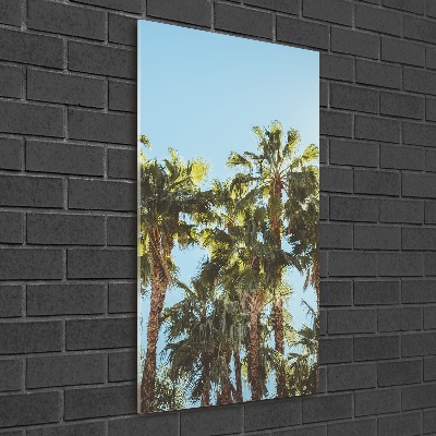 Obraz zdjęcie szkło akryl pionowy Palmy