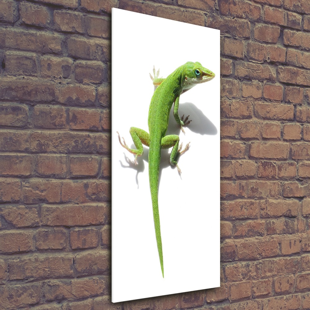 Foto obraz na scianę akrylowy pionowy Zielona jaszczurka
