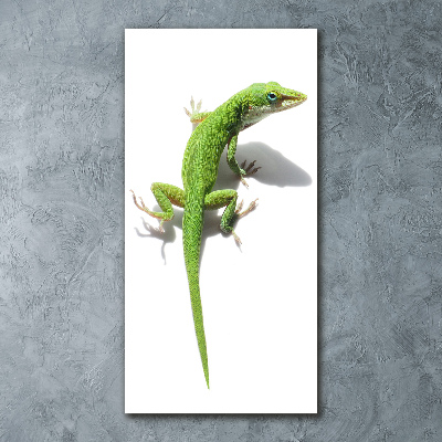 Foto obraz na scianę akrylowy pionowy Zielona jaszczurka