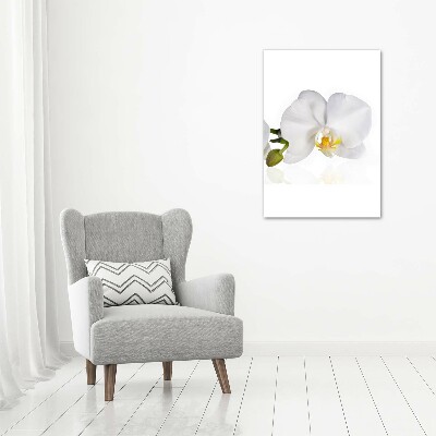 Obraz zdjęcie szkło akryl pionowy Biała orchidea