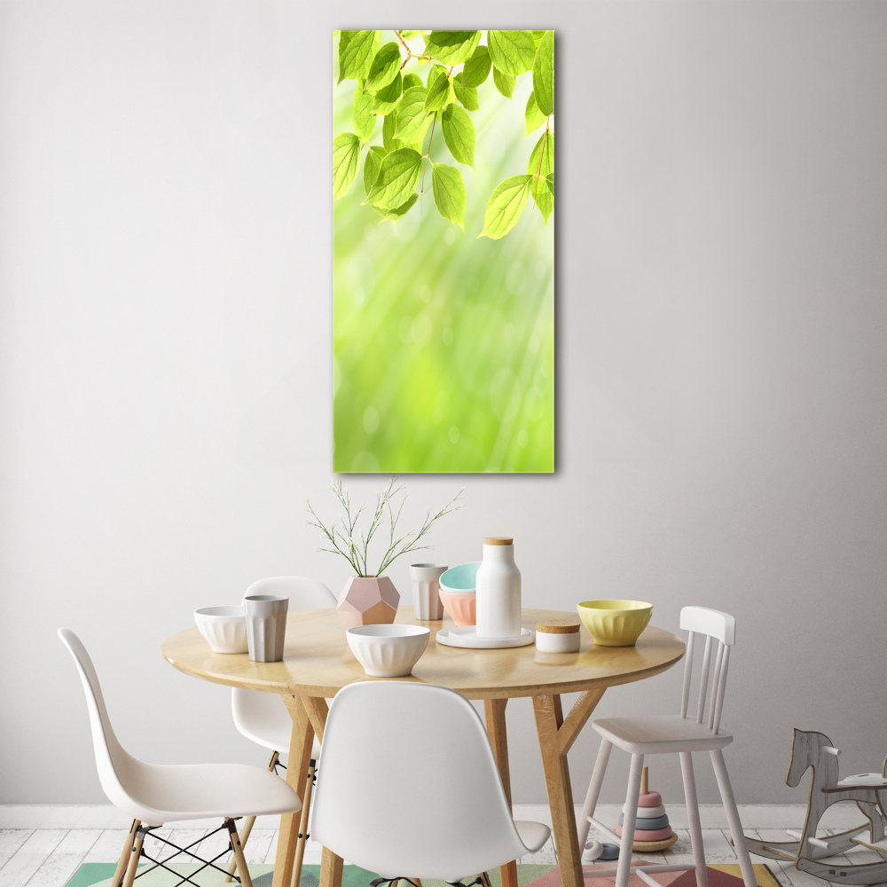 Foto obraz na ścianę szkło akrylowe pionowy Zielone listki