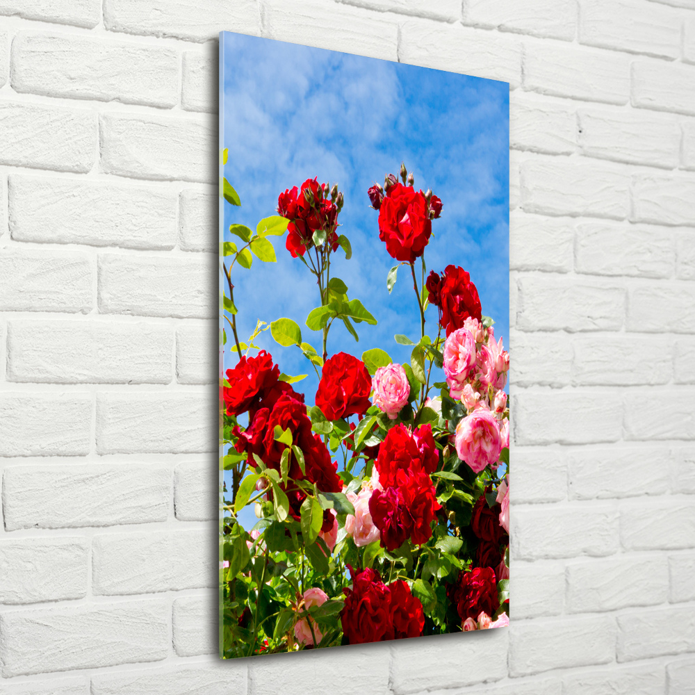 Obraz zdjęcie akryl pionowy Dzika róża