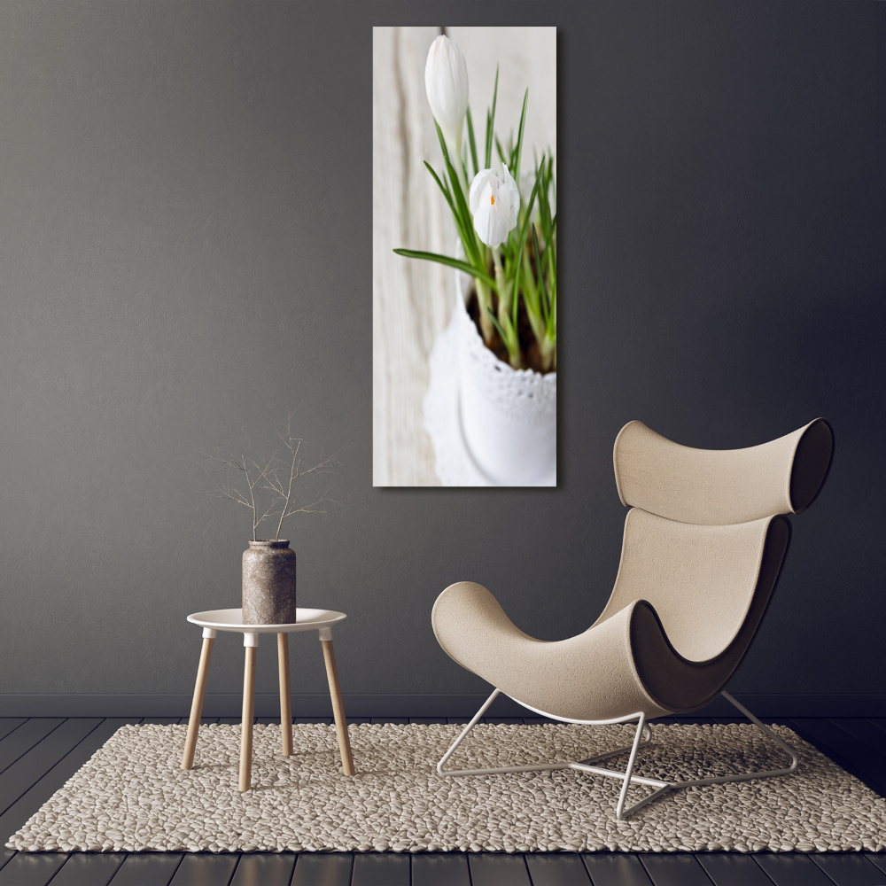 Obraz zdjęcie szkło akryl pionowy Białe krokusy