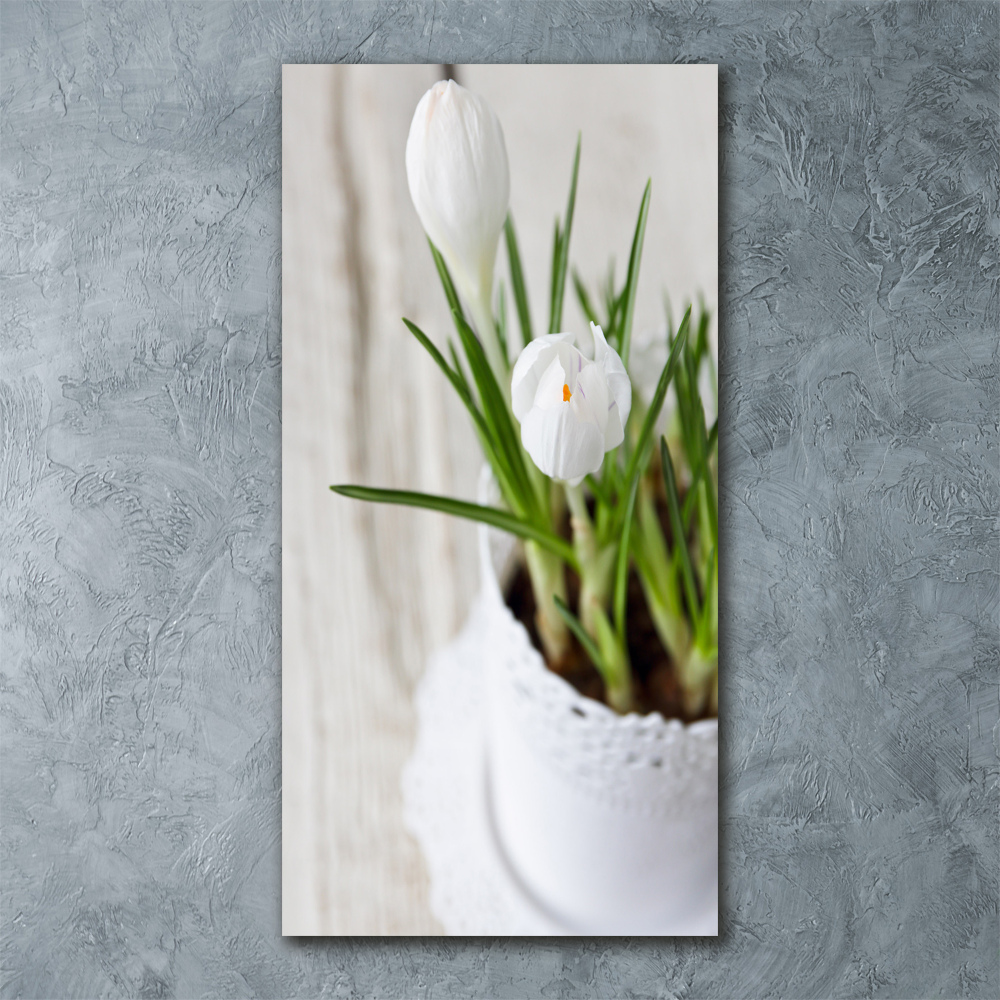 Obraz zdjęcie szkło akryl pionowy Białe krokusy