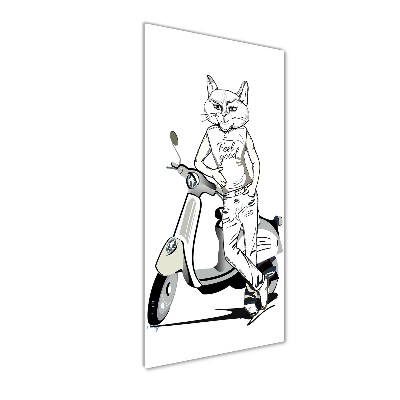 Obraz zdjęcie szkło akryl pionowy Koci mężczyzna