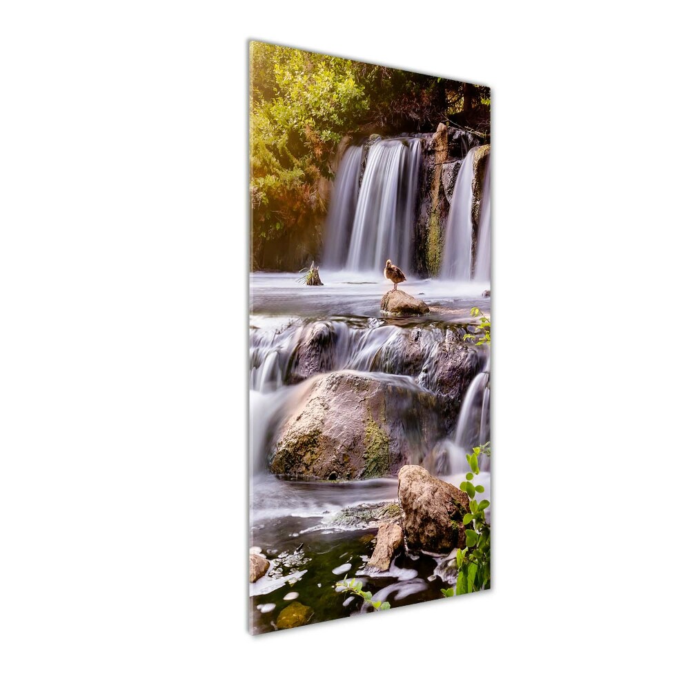 Obraz zdjęcie akryl pionowy Wodospad