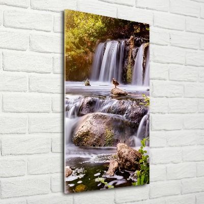 Obraz zdjęcie akryl pionowy Wodospad