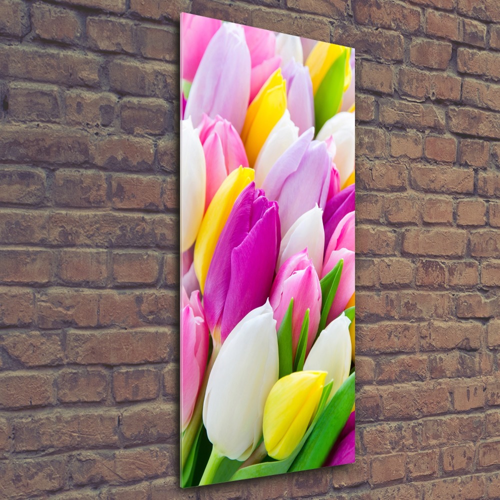 Obraz zdjęcie na scianę akrylowy pionowy Kolorowe tulipany