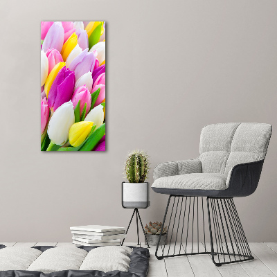 Obraz zdjęcie na scianę akrylowy pionowy Kolorowe tulipany