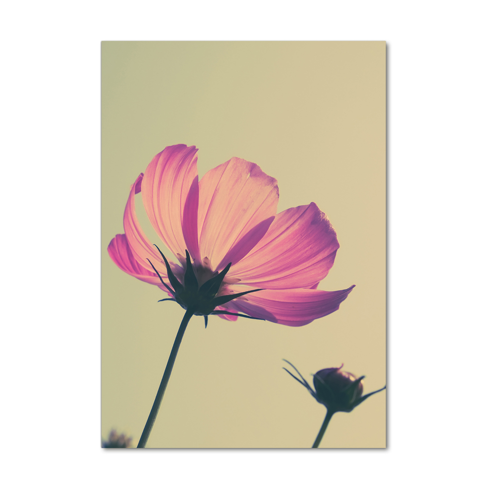 Foto obraz szkło akryl pionowy Różowe kwiaty