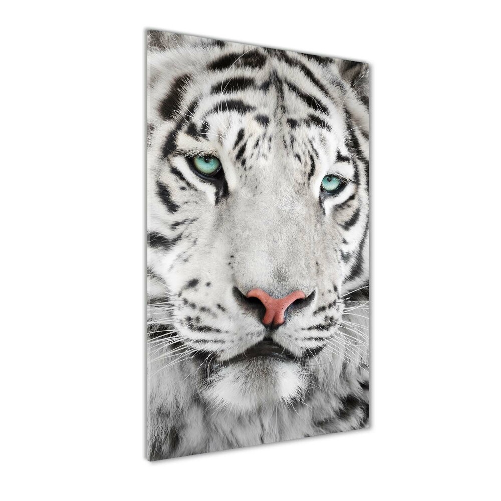Foto obraz na ścianę akryl pionowy Biały tygrys