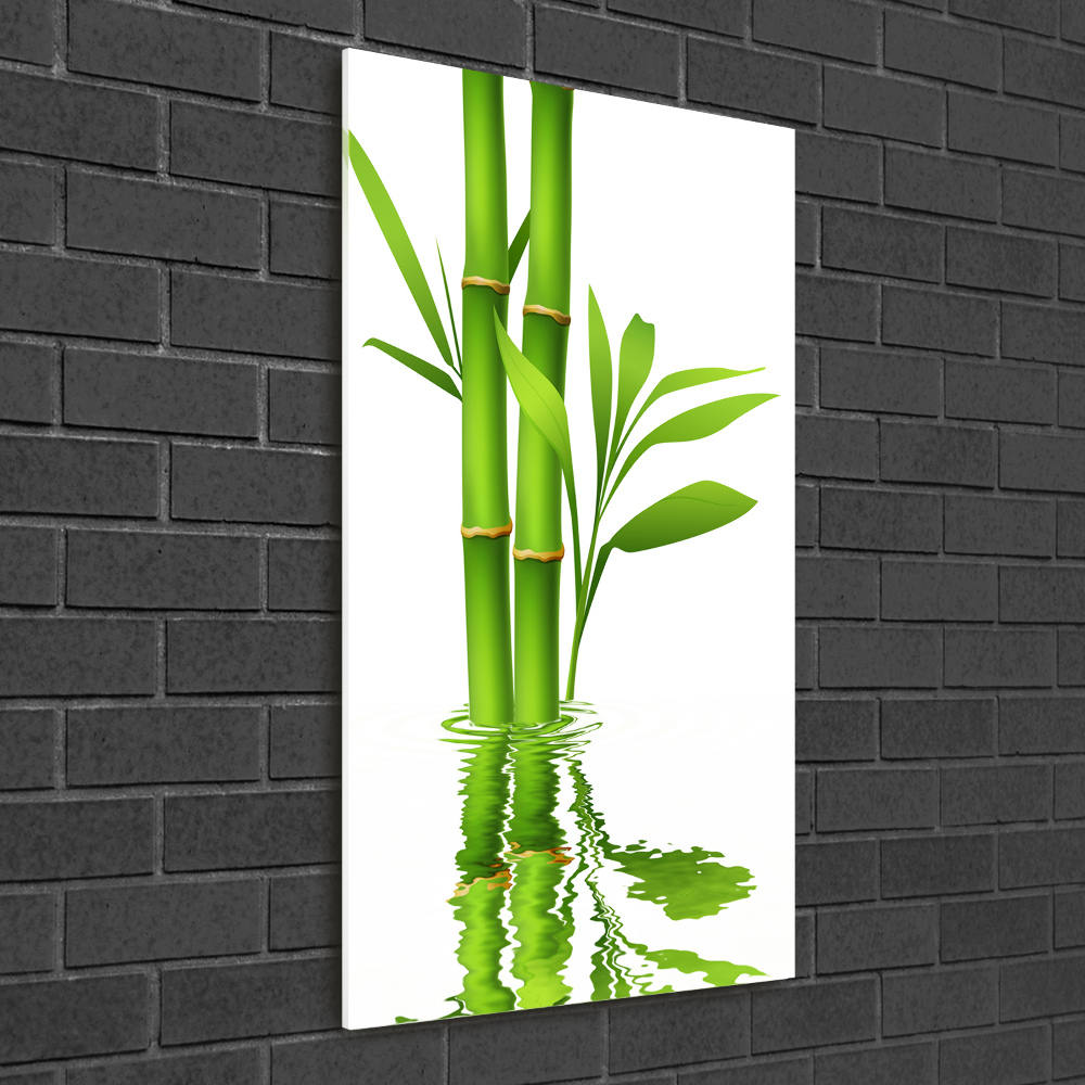 Obraz zdjęcie na ścianę akryl pionowy Bambus