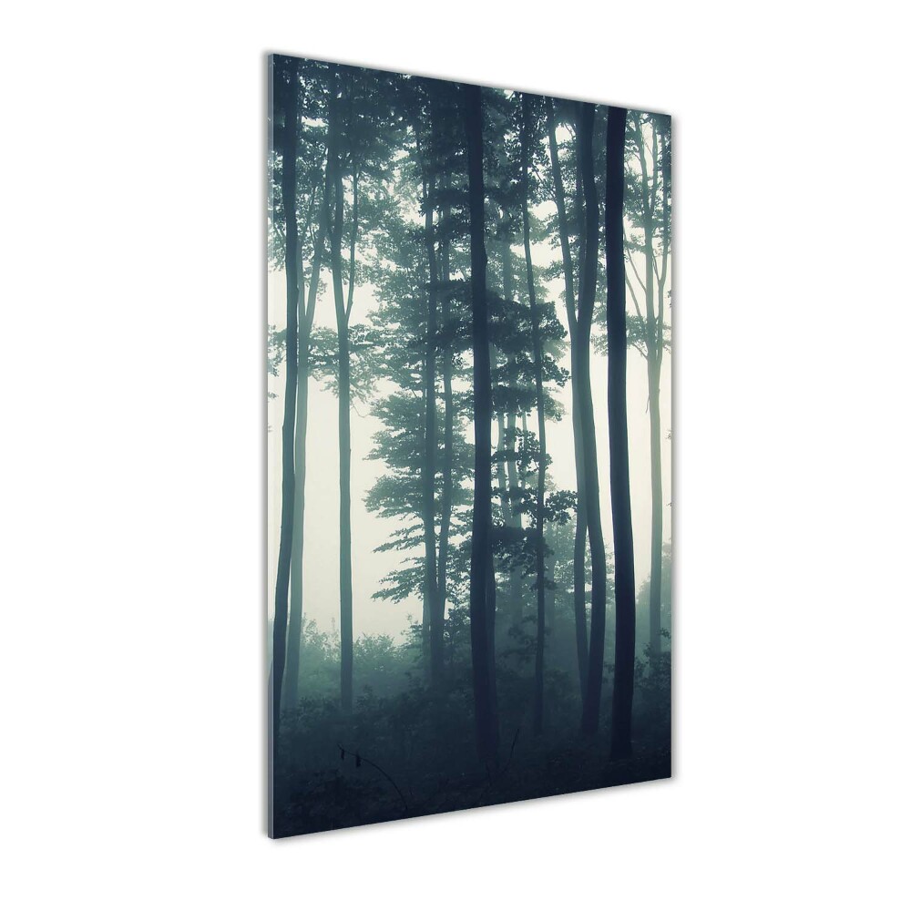 Obraz zdjęcie akryl pionowy Mgła w lesie