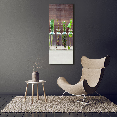 Obraz zdjęcie szkło akryl pionowy Zioła w słoikach