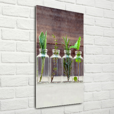 Obraz zdjęcie szkło akryl pionowy Zioła w słoikach