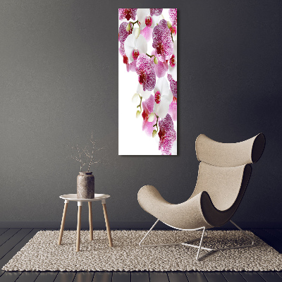 Obraz zdjęcie szkło akryl pionowy Orchidea