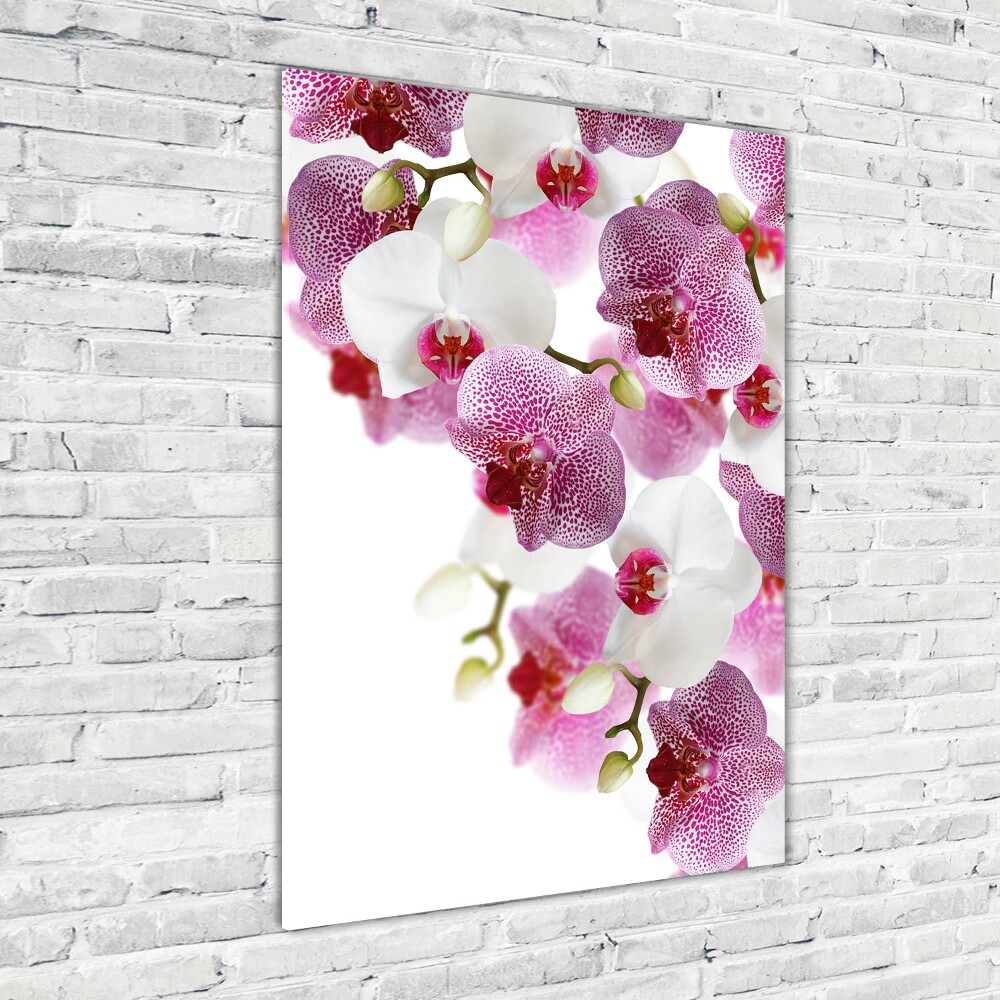 Obraz zdjęcie szkło akryl pionowy Orchidea