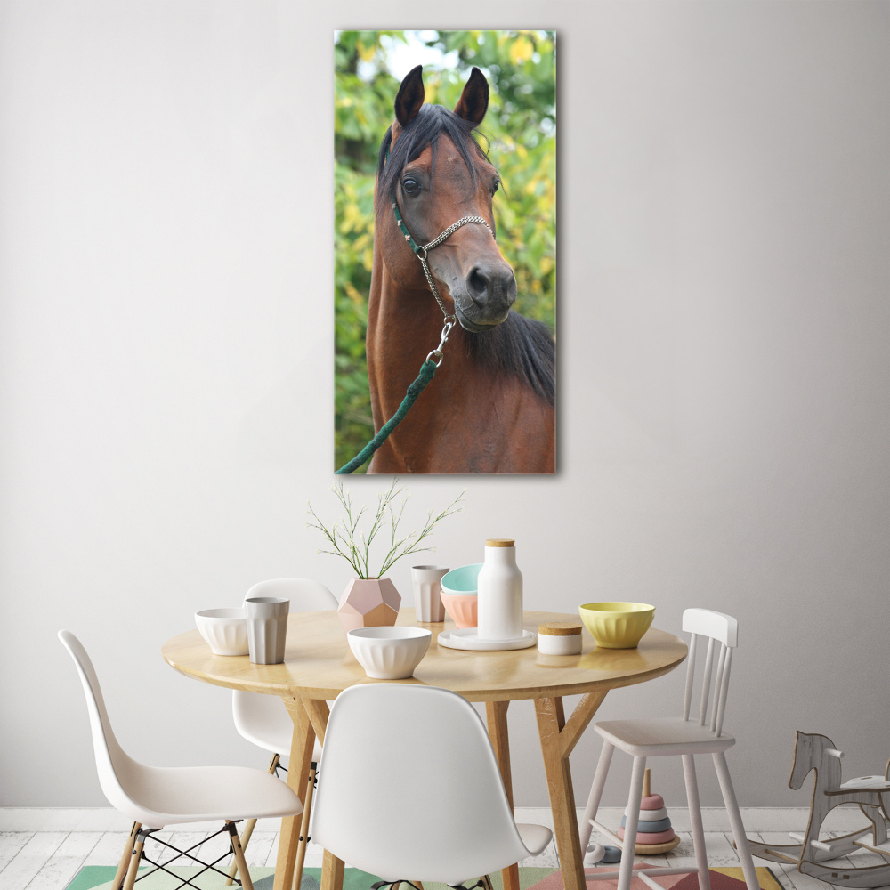 Foto obraz szkło akryl pionowy Portret konia