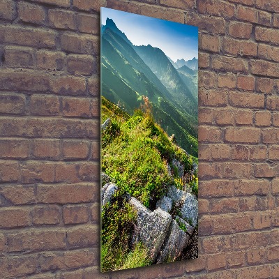 Obraz zdjęcie szkło akryl pionowy Góry latem