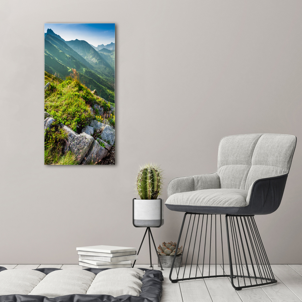 Obraz zdjęcie szkło akryl pionowy Góry latem