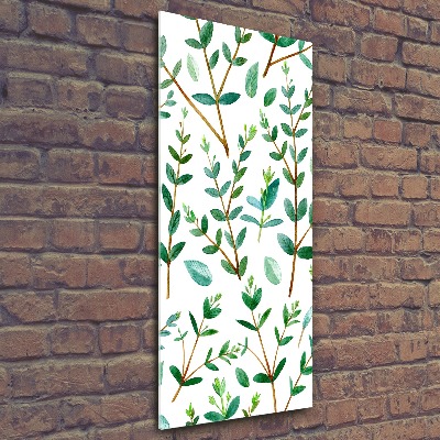 Obraz zdjęcie szkło akryl pionowy Gałązki eukaliptusa