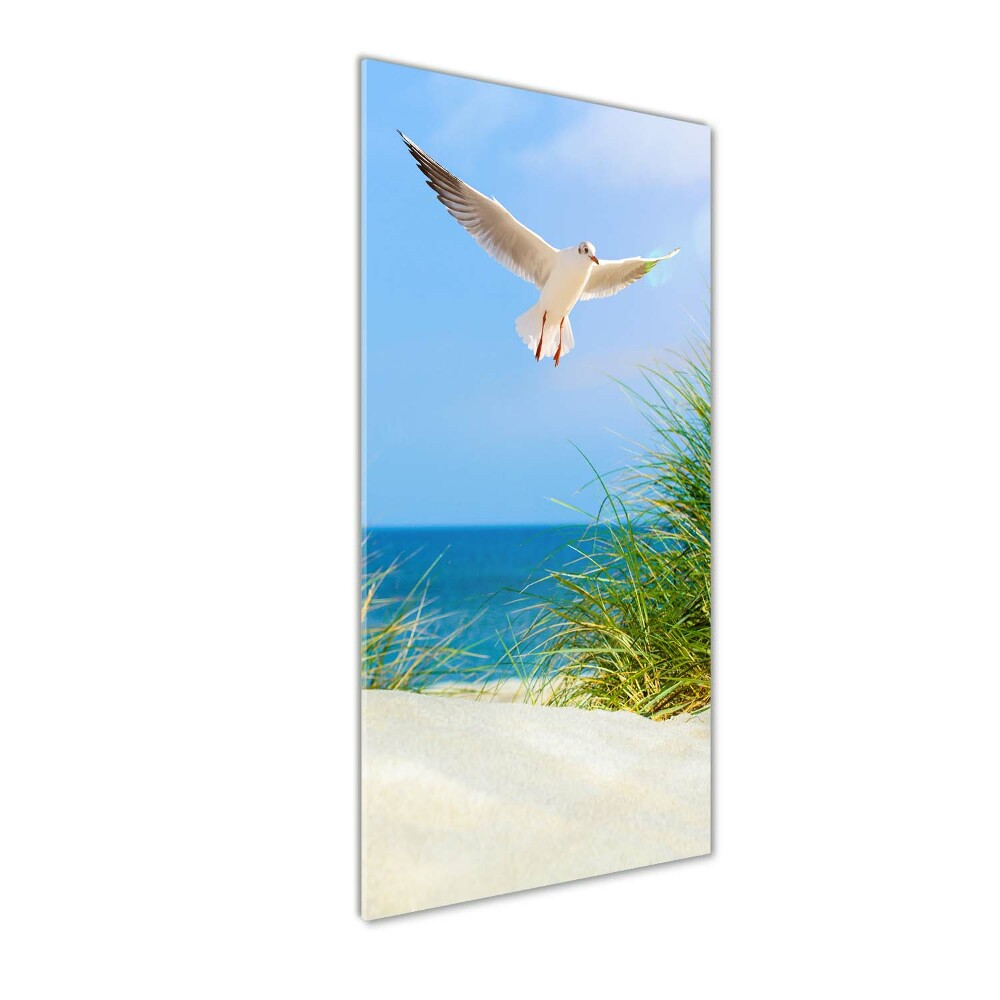 Obraz zdjęcie szkło akryl pionowy Mewa nad wydmami