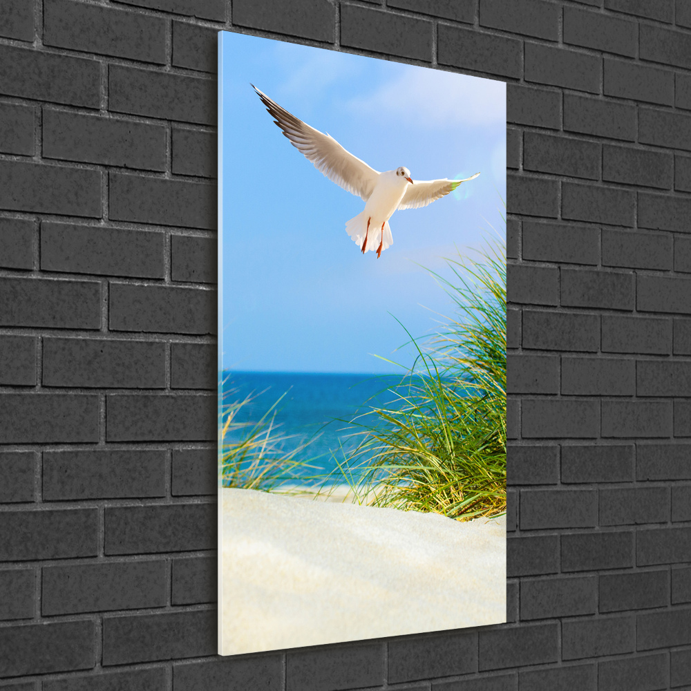 Obraz zdjęcie szkło akryl pionowy Mewa nad wydmami