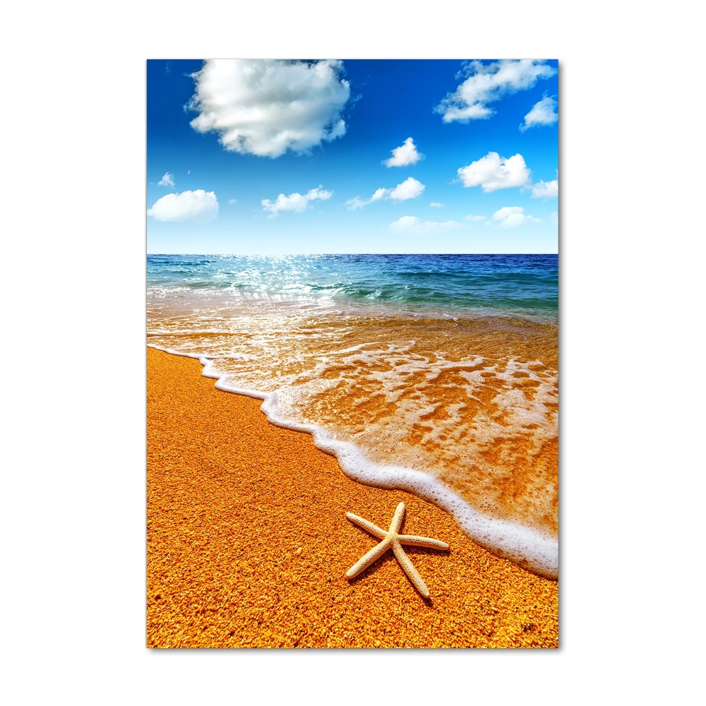 Obraz zdjęcie szkło akryl pionowy Rozgwiazda na plaży