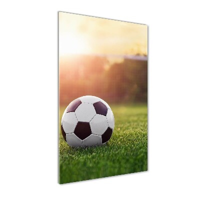 Foto obraz szkło akryl pionowy Piłka nożna