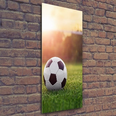 Foto obraz szkło akryl pionowy Piłka nożna
