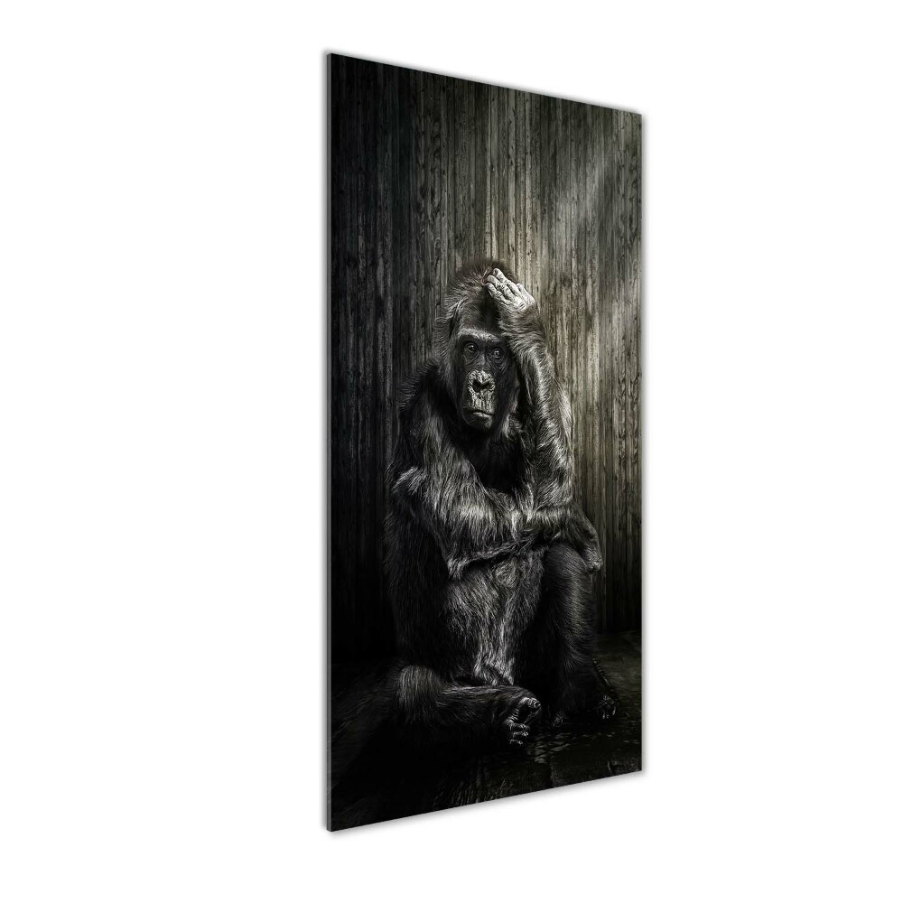 Foto obraz szkło akryl pionowy Goryl