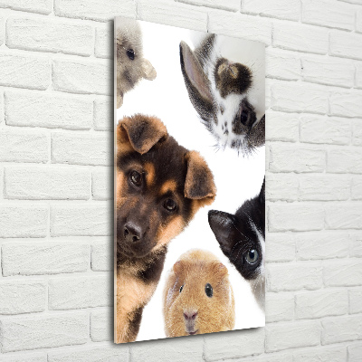 Foto-obraz szkło akryl pionowy Zwierzęta domowe
